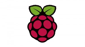 Raspberry-PI-Logo-01